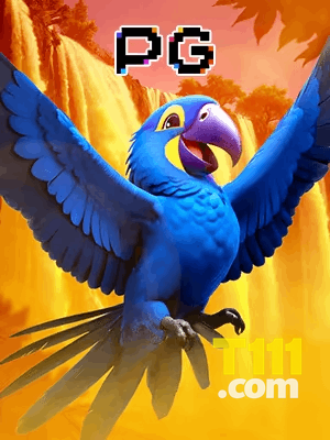 T111 bônus — cashback 15 por cento e níveis VIP
